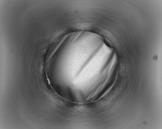 X0000097630259200803142031