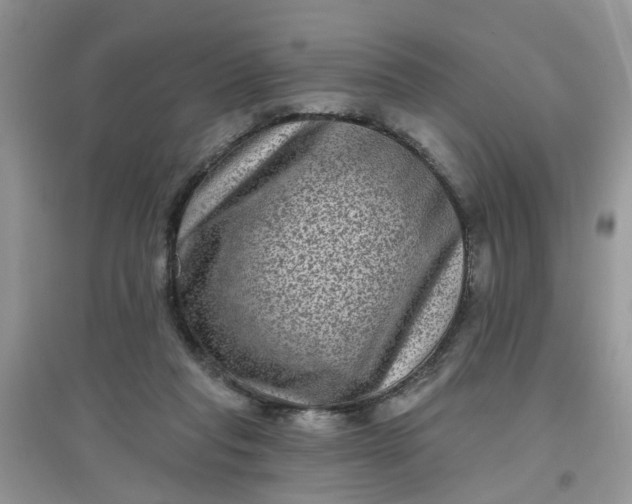 X0000097630261200803142031