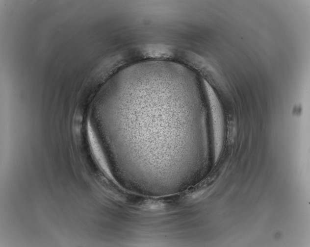 X0000097630263200803142031