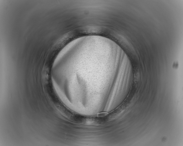 X0000097630264200803142031