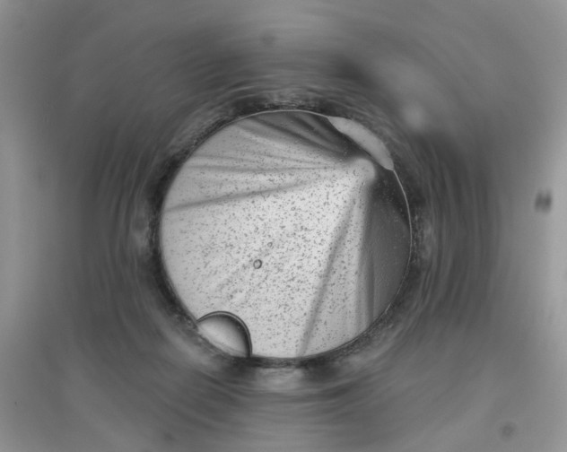 X0000097630266200803142031