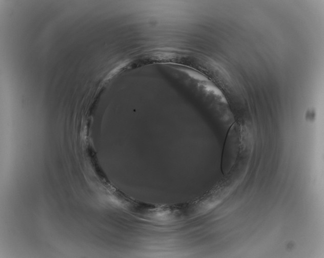 X0000097630267200803142031