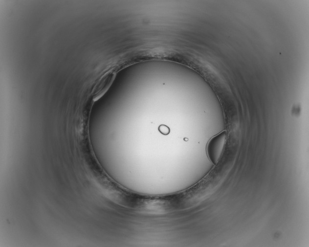 X0000097630268200803142031