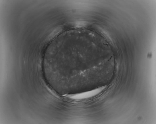 X0000097630269200803142031