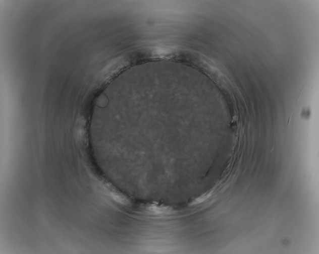 X0000097630270200803142031