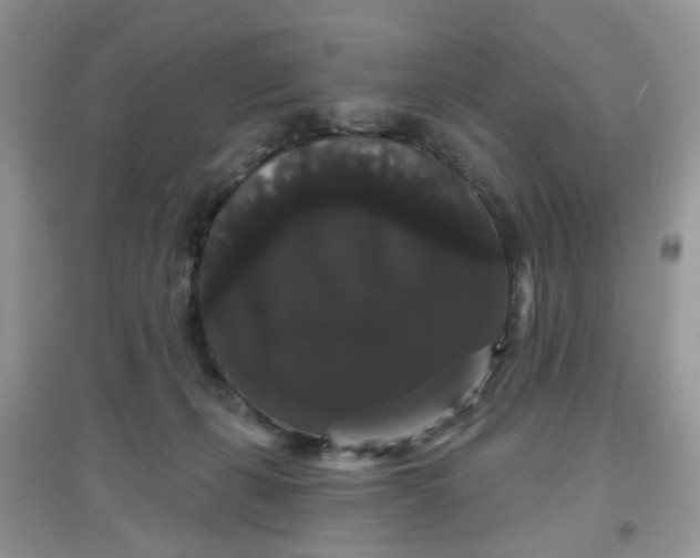 X0000097630271200803142031