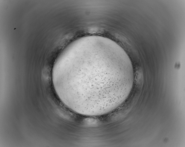 X0000097630272200803142031