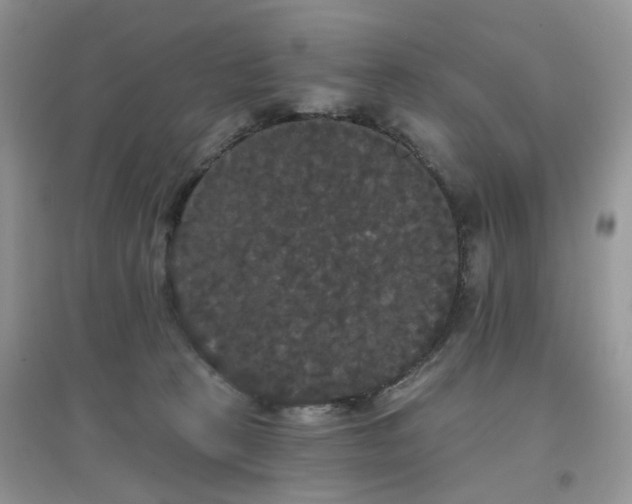 X0000097630273200803142031