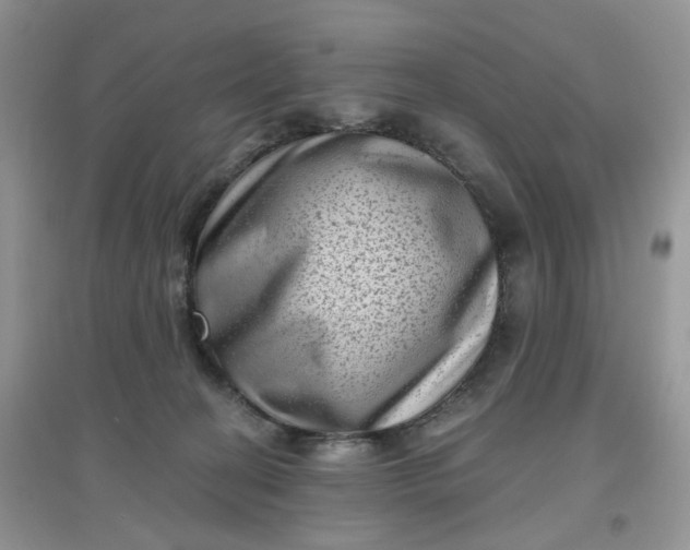 X0000097630274200803142031