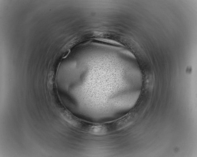 X0000097630275200803142031