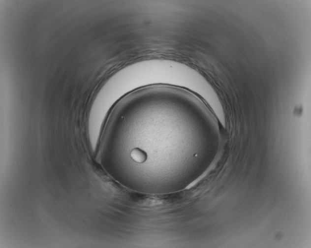 X0000097630276200803142031