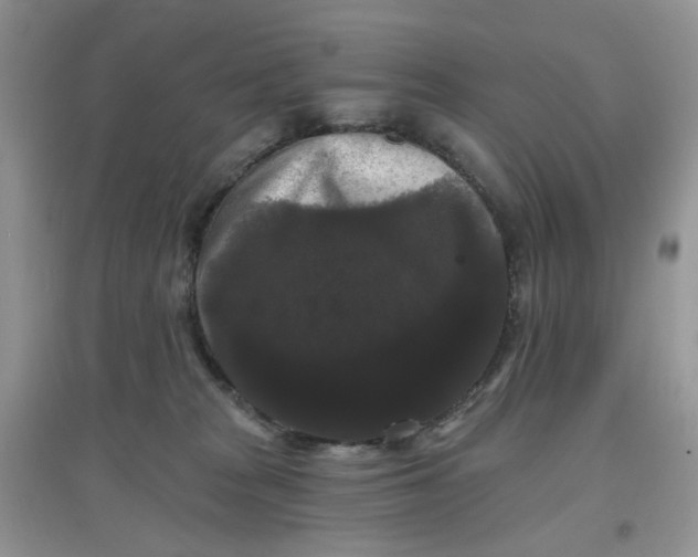 X0000097630277200803142031