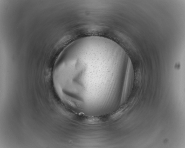 X0000097630278200803142031