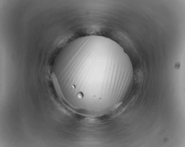 X0000097630280200803142031