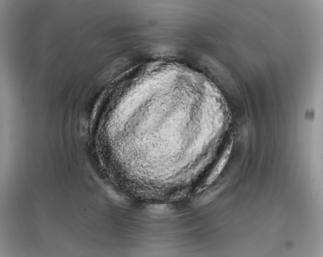 X0000097630281200803142031