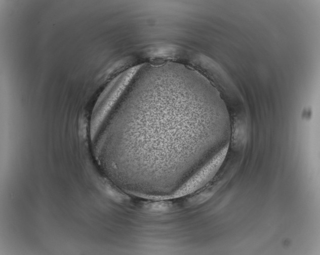 X0000097630282200803142031