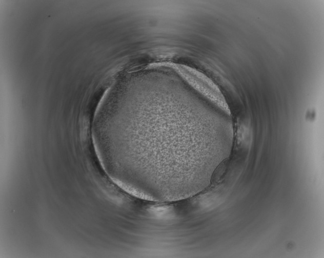 X0000097630283200803142031