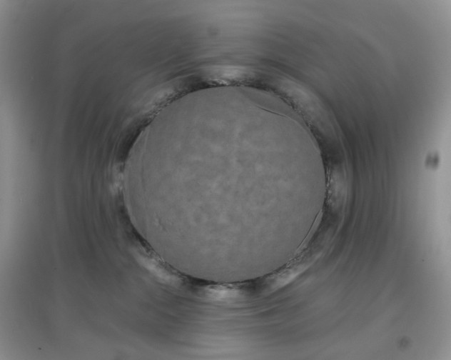 X0000097630284200803142031