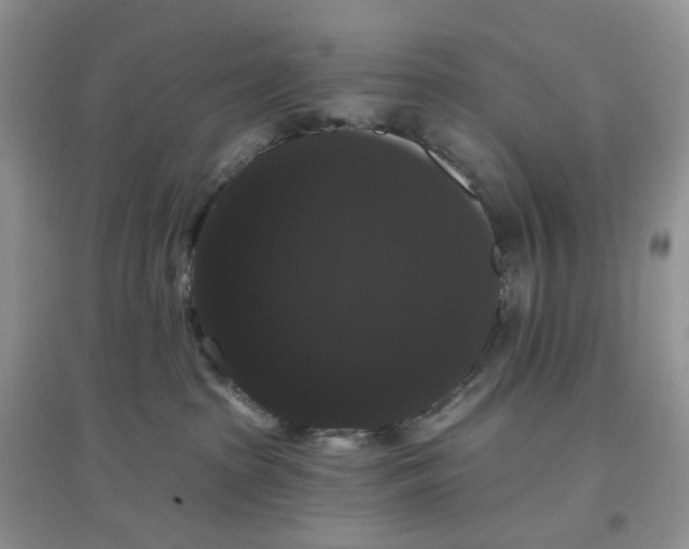 X0000097630285200803142031