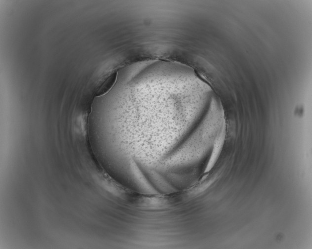 X0000097630286200803142031