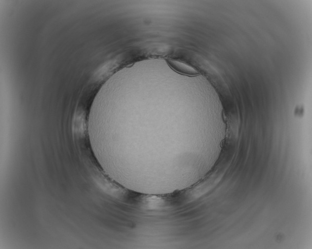 X0000097630287200803142031