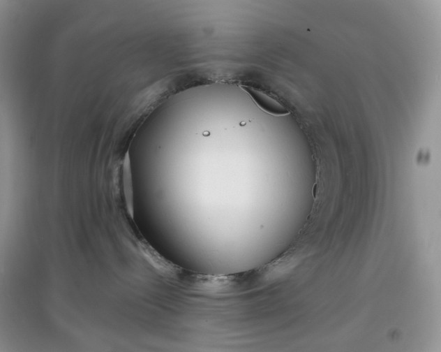 X0000097630288200803142031