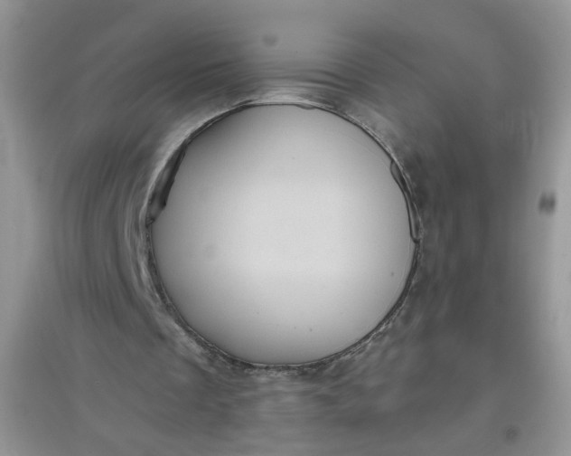 X0000097630289200803142030