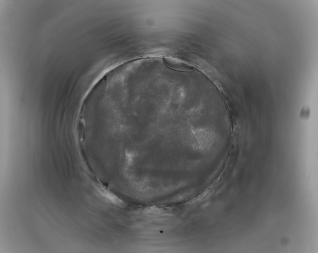 X0000097630290200803142030