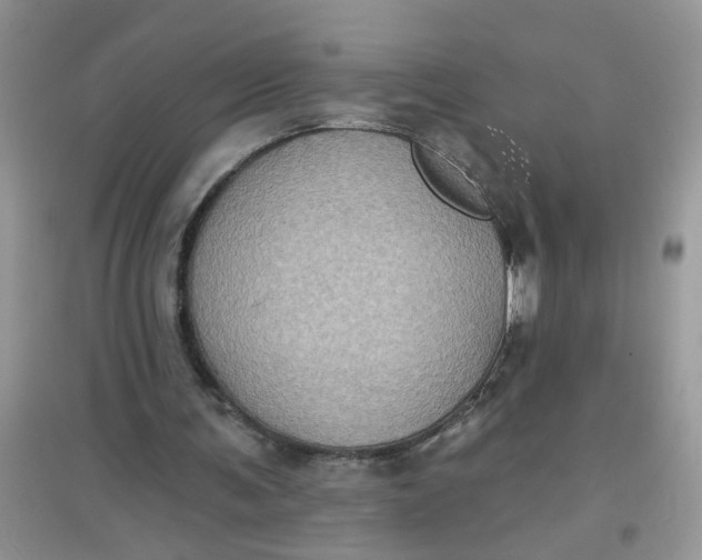 X0000097630291200803142030