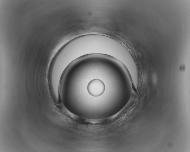 X0000097630292200803142030