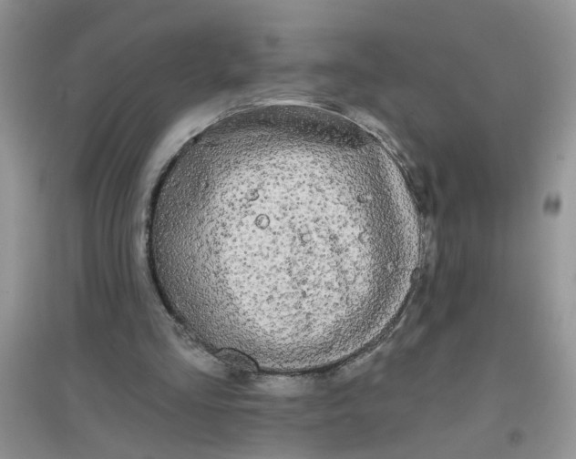 X0000097630293200803142030