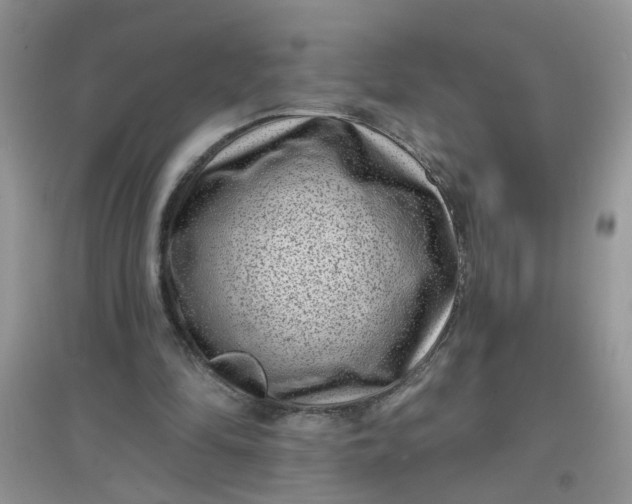 X0000097630294200803142030