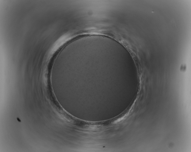 X0000097630295200803142030