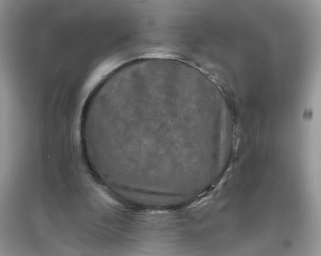 X0000097630296200803142030