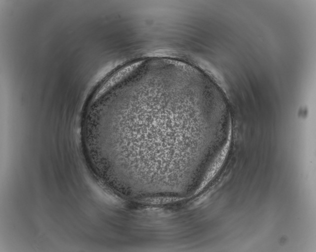 X0000097630298200803142030