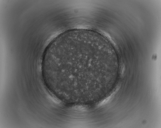 X0000097630299200803142030