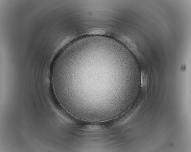 X0000097630300200803142030