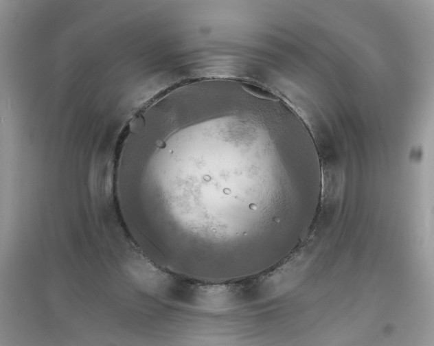 X0000097630301200803142030