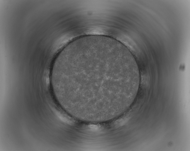 X0000097630302200803142030