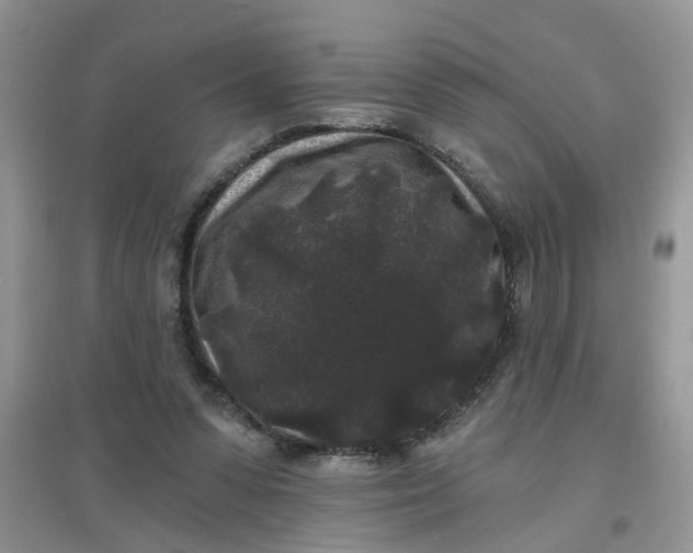 X0000097630303200803142030