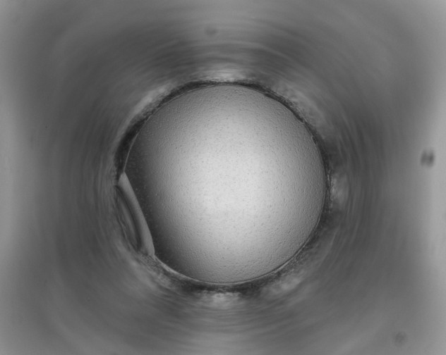 X0000097630304200803142030