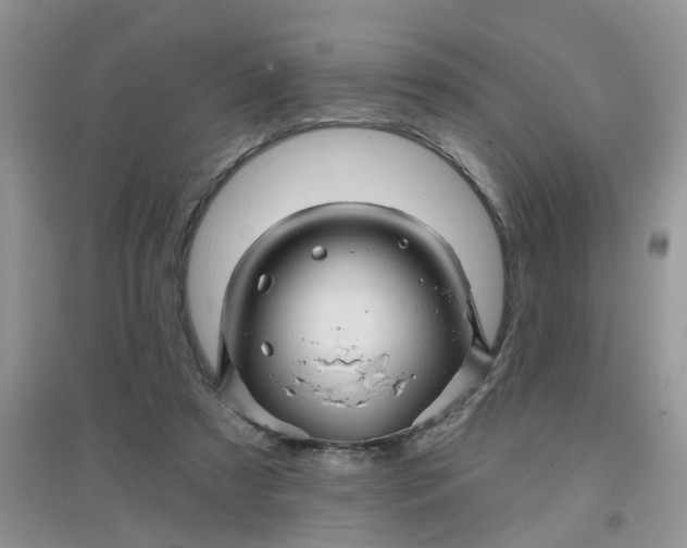 X0000097630305200803142030