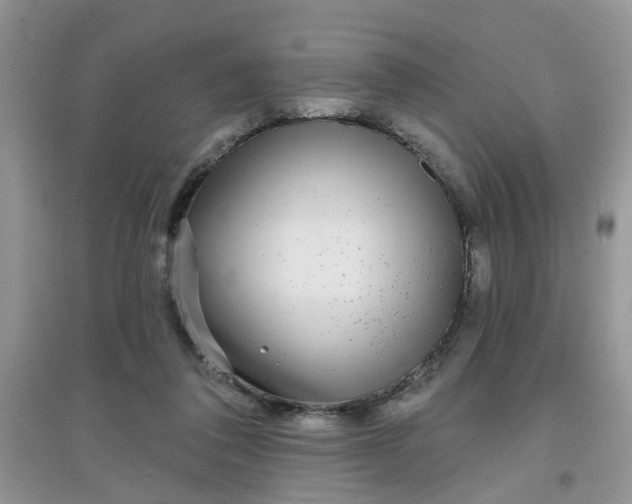 X0000097630308200803142030