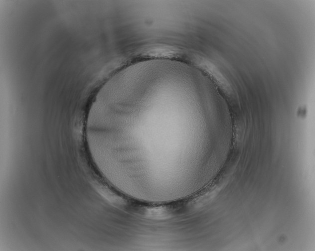 X0000097630309200803142030