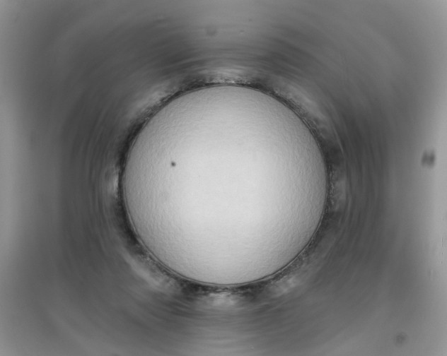 X0000097630310200803142030