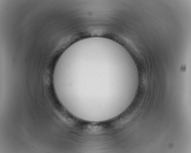 X0000097630311200803142030