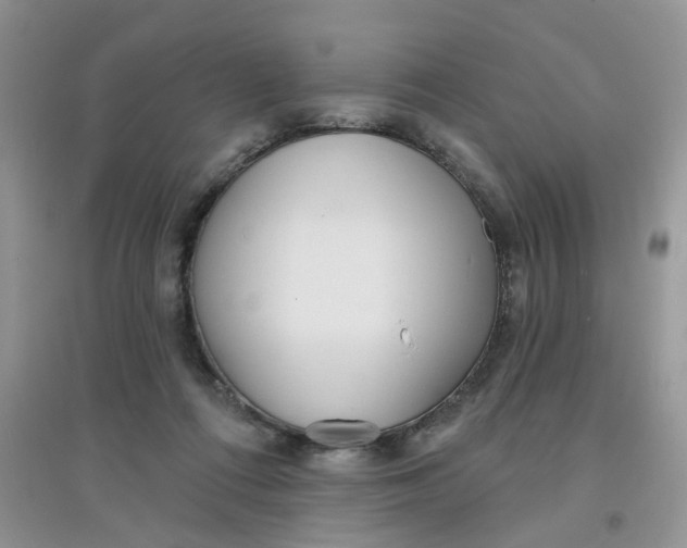 X0000097630312200803142030