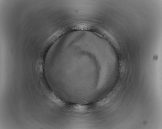 X0000097630313200803142030