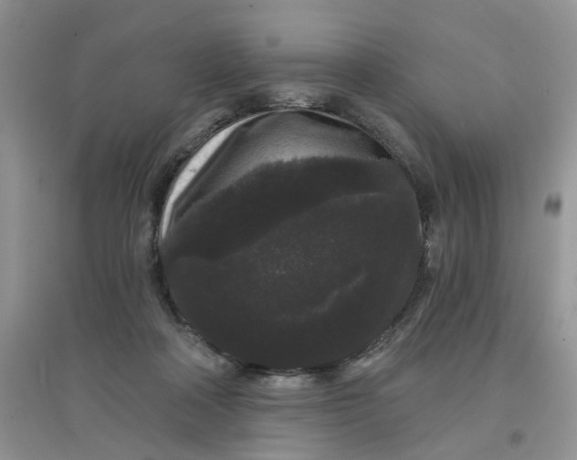 X0000097630314200803142030