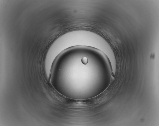 X0000097630316200803142030